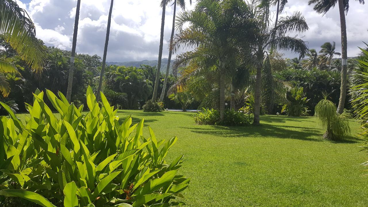 Villa Manaora Taravao Exterior foto